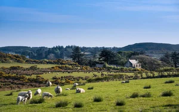 Irland per Zug entdecken!