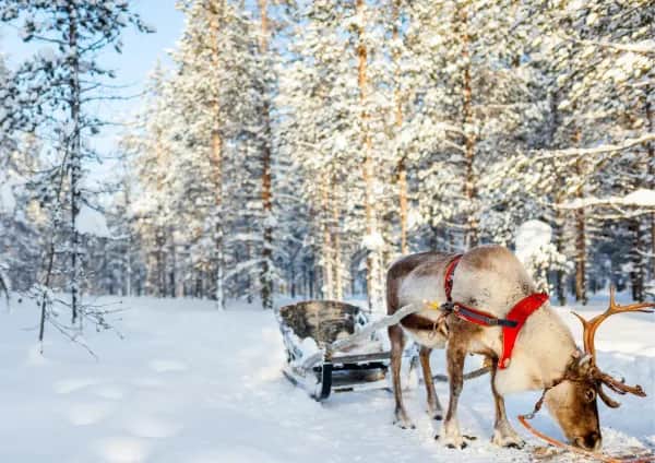 Winterzauber in Finnland