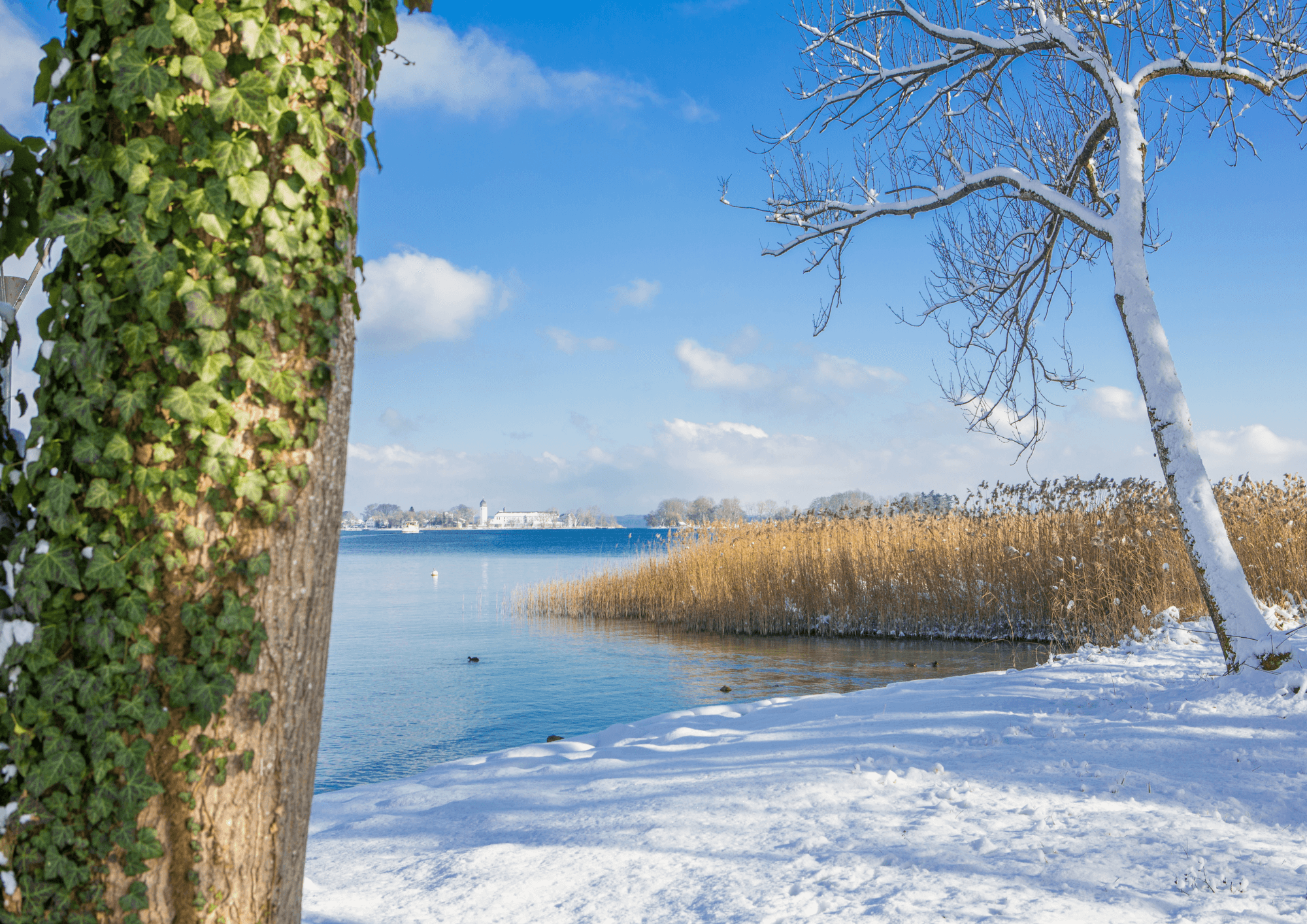 Silvester am Chiemsee-Winterwandern auf den Spuren des Märchenkönigs