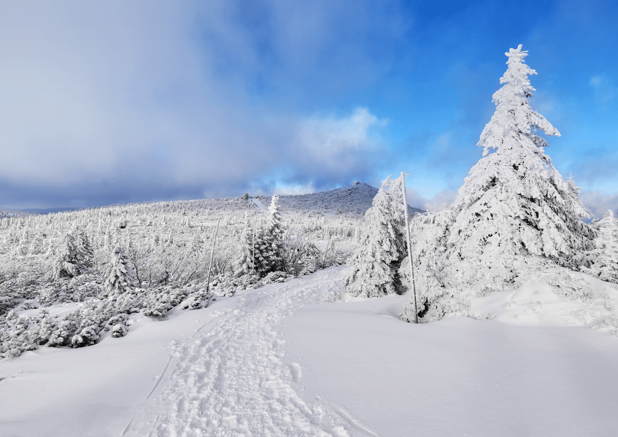 Silvester am Chiemsee-Winterwandern auf den Spuren des Märchenkönigs