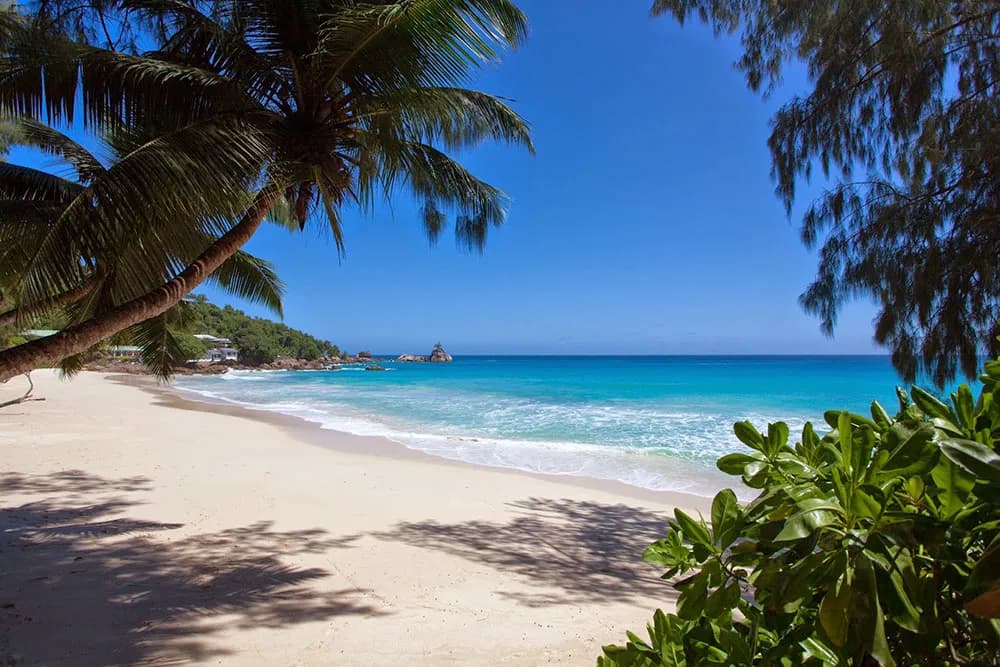 ANSE SOLEIL BEACHCOMBER 3