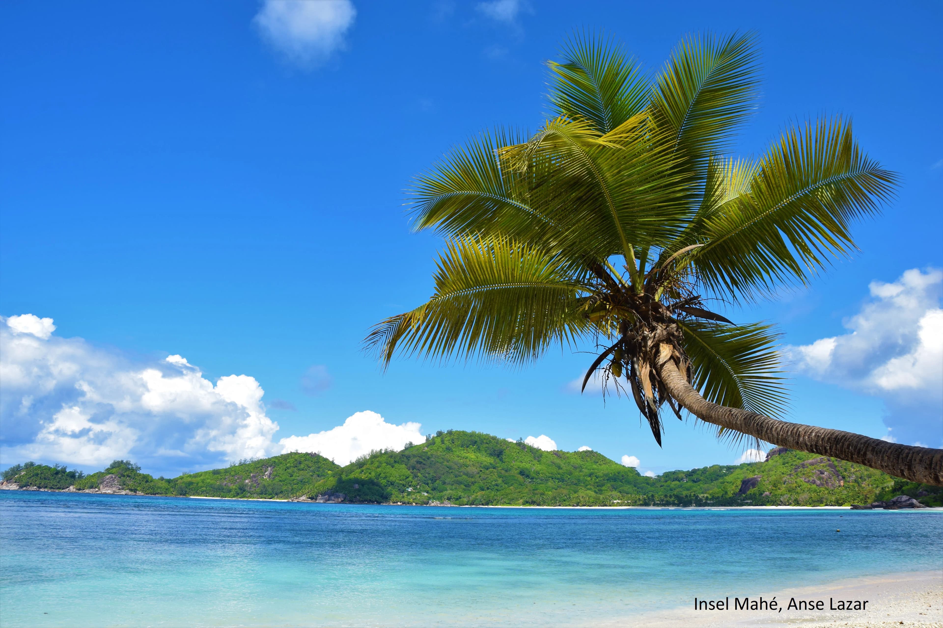 Seychellen zum Schnäppchenpreis 4