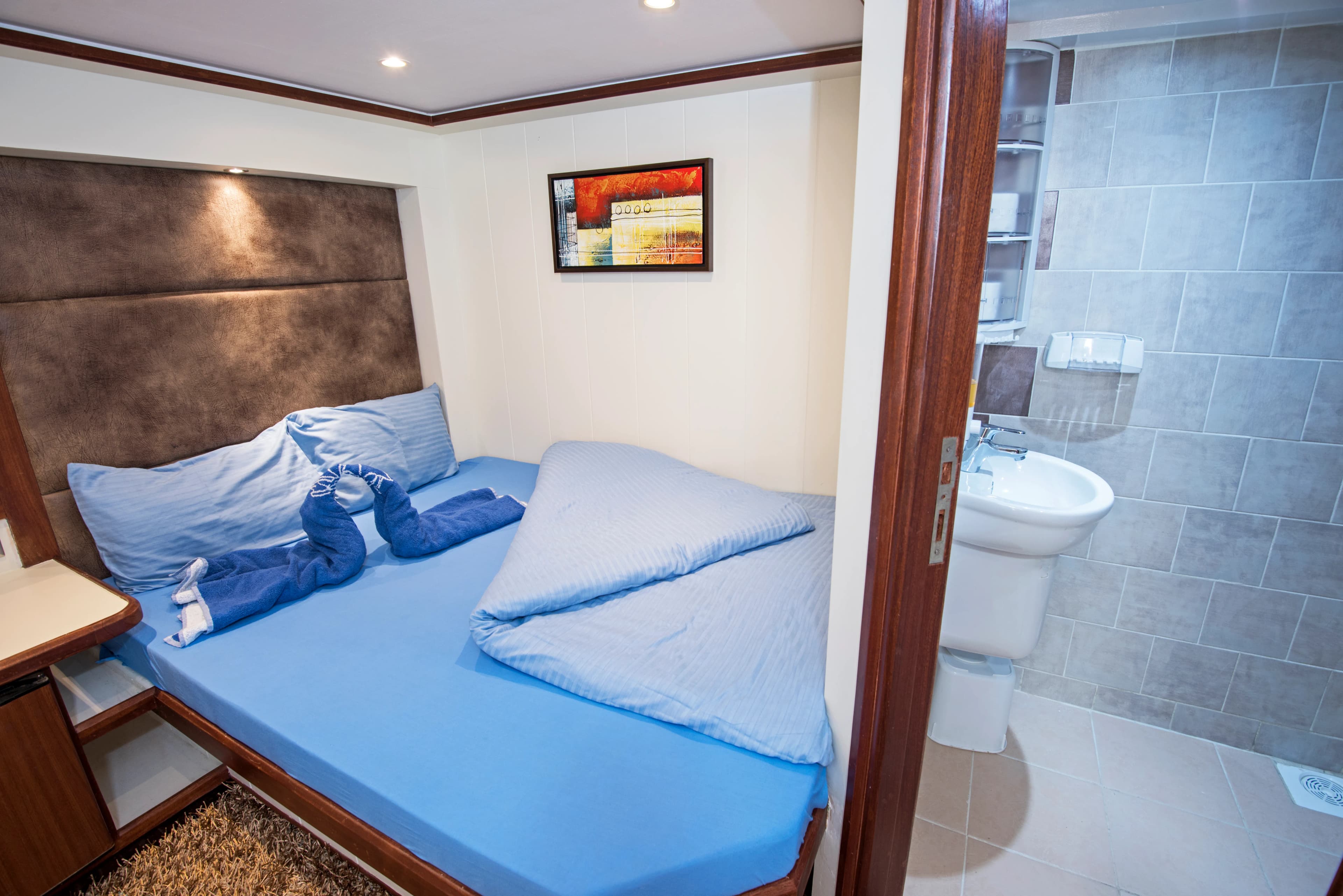 Tauchsafari Ägypten - M/Y Sea Serpent 4