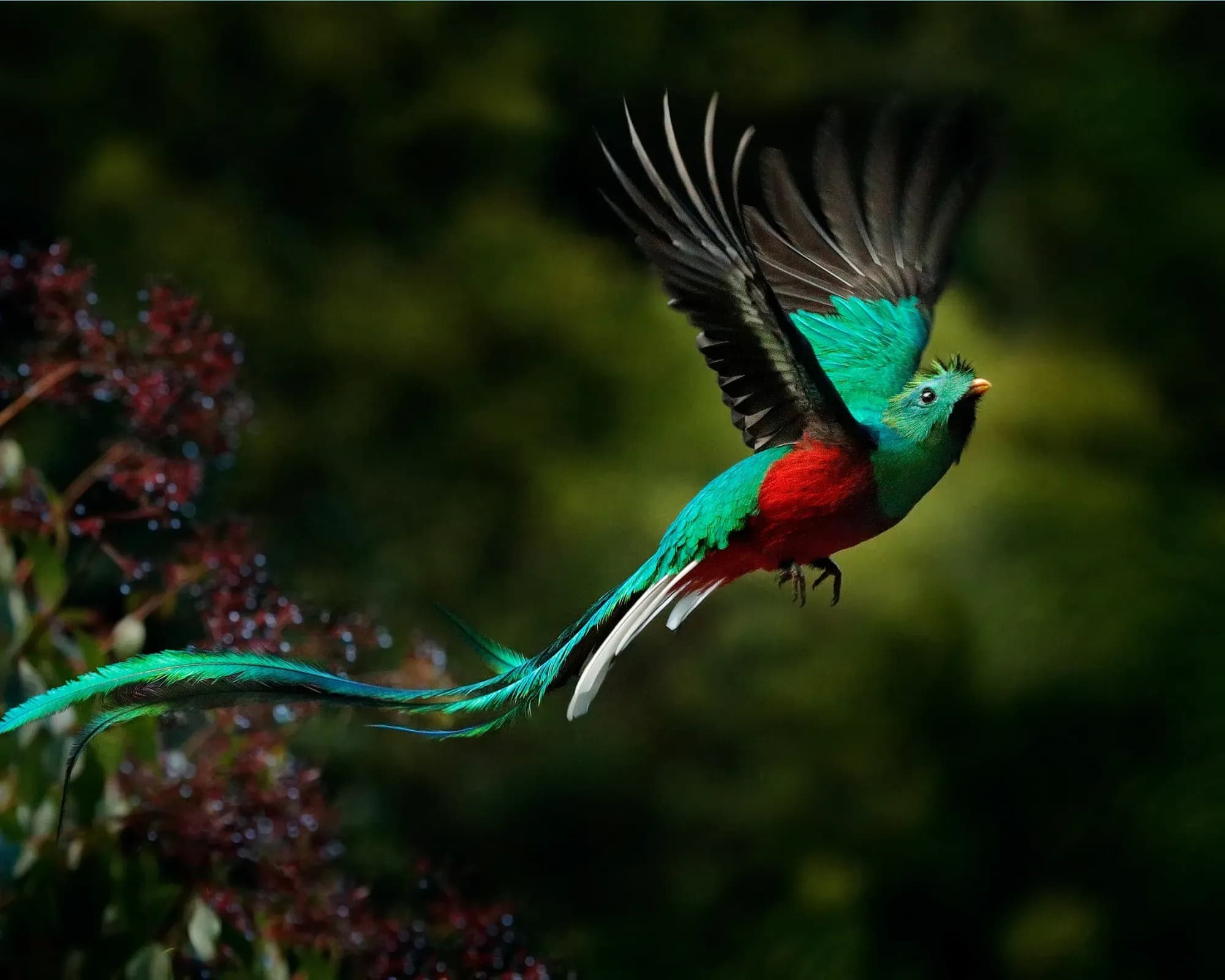 Naturerlebnis Costa Rica