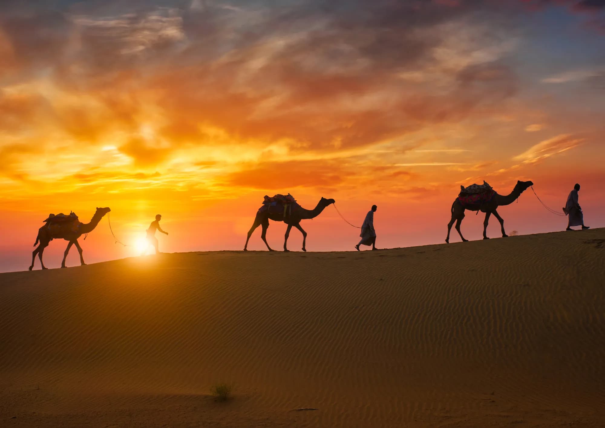 Marrakesch und den Zauber der Sahara erwandern 3