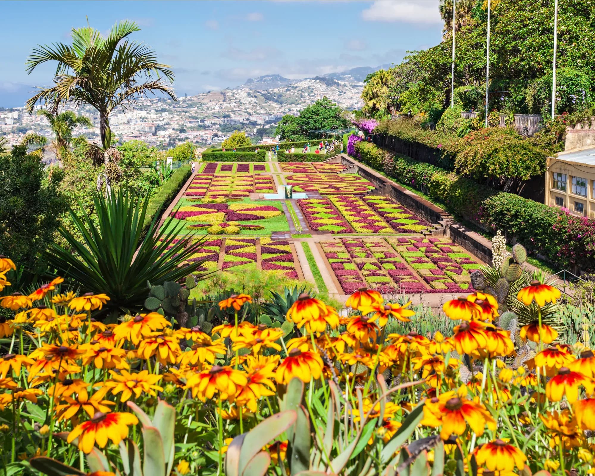 Natur-  und  Blumeninsel Madeira