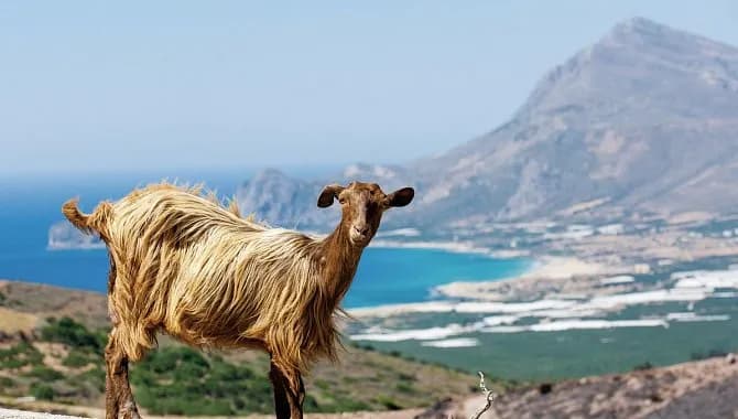 Kreta gemütlich erwandern 5