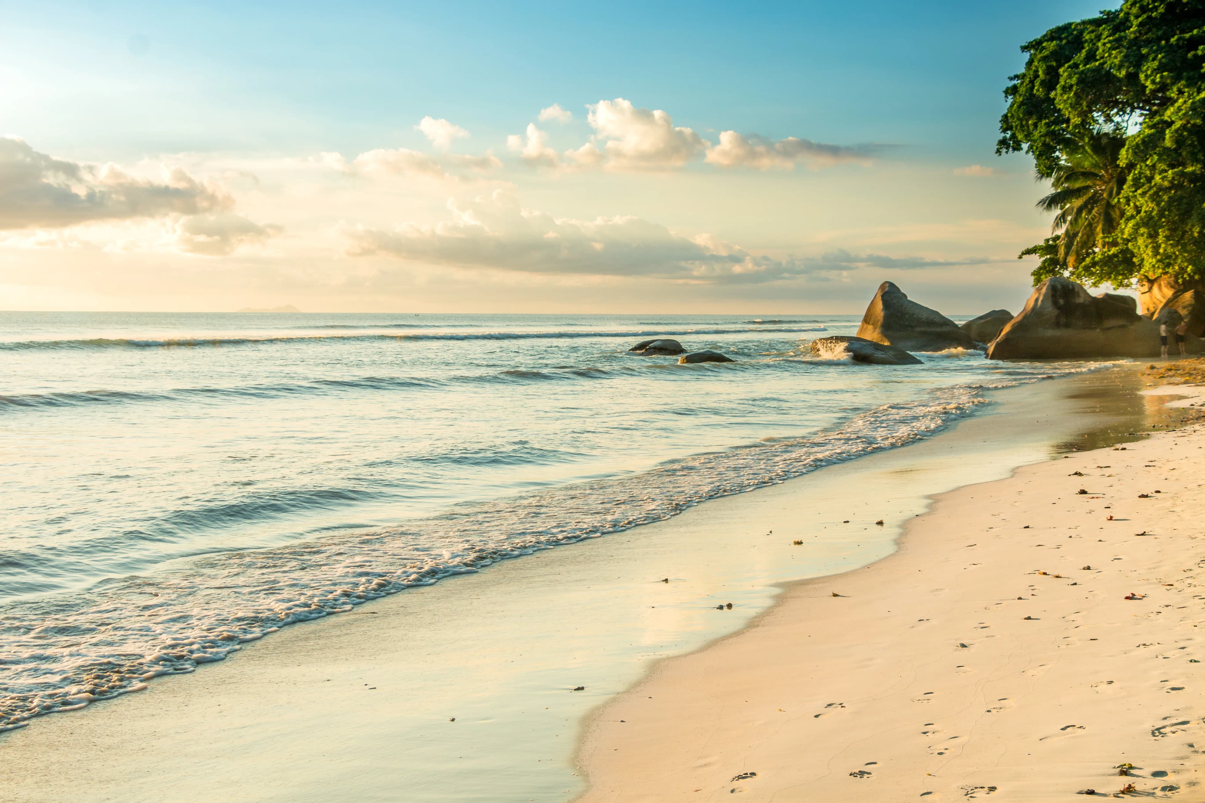 TROPICAL HIDEAWAY 4