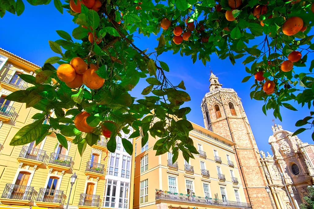Valencia ab/bis Linz 5