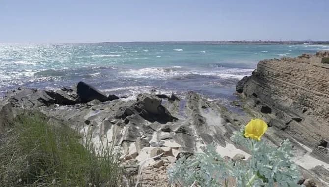Rundfahrt Mallorca 4