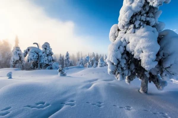 Lappland zum Verlieben 2