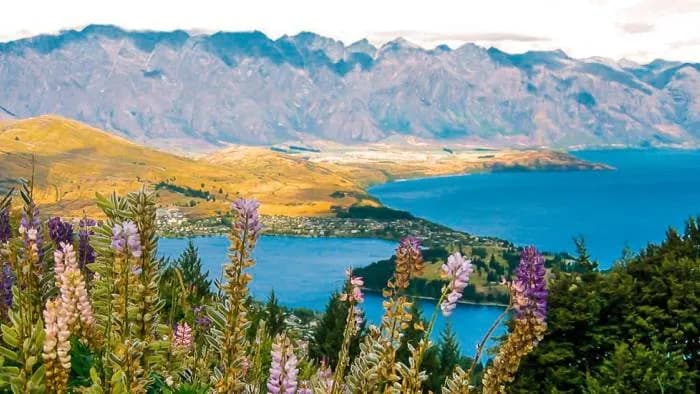 Rundreise Neuseeland 4