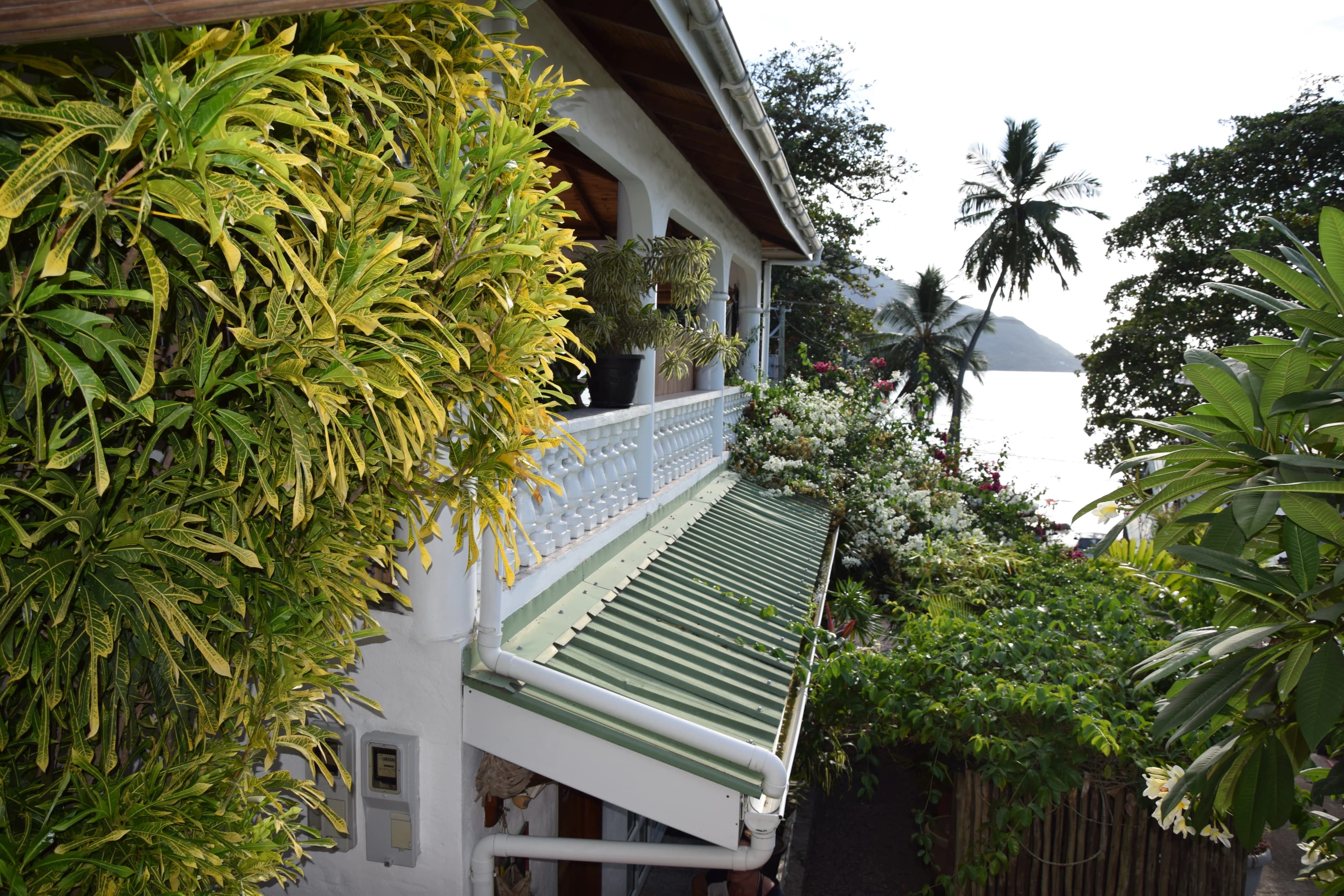 BEAU BAMBOO 3