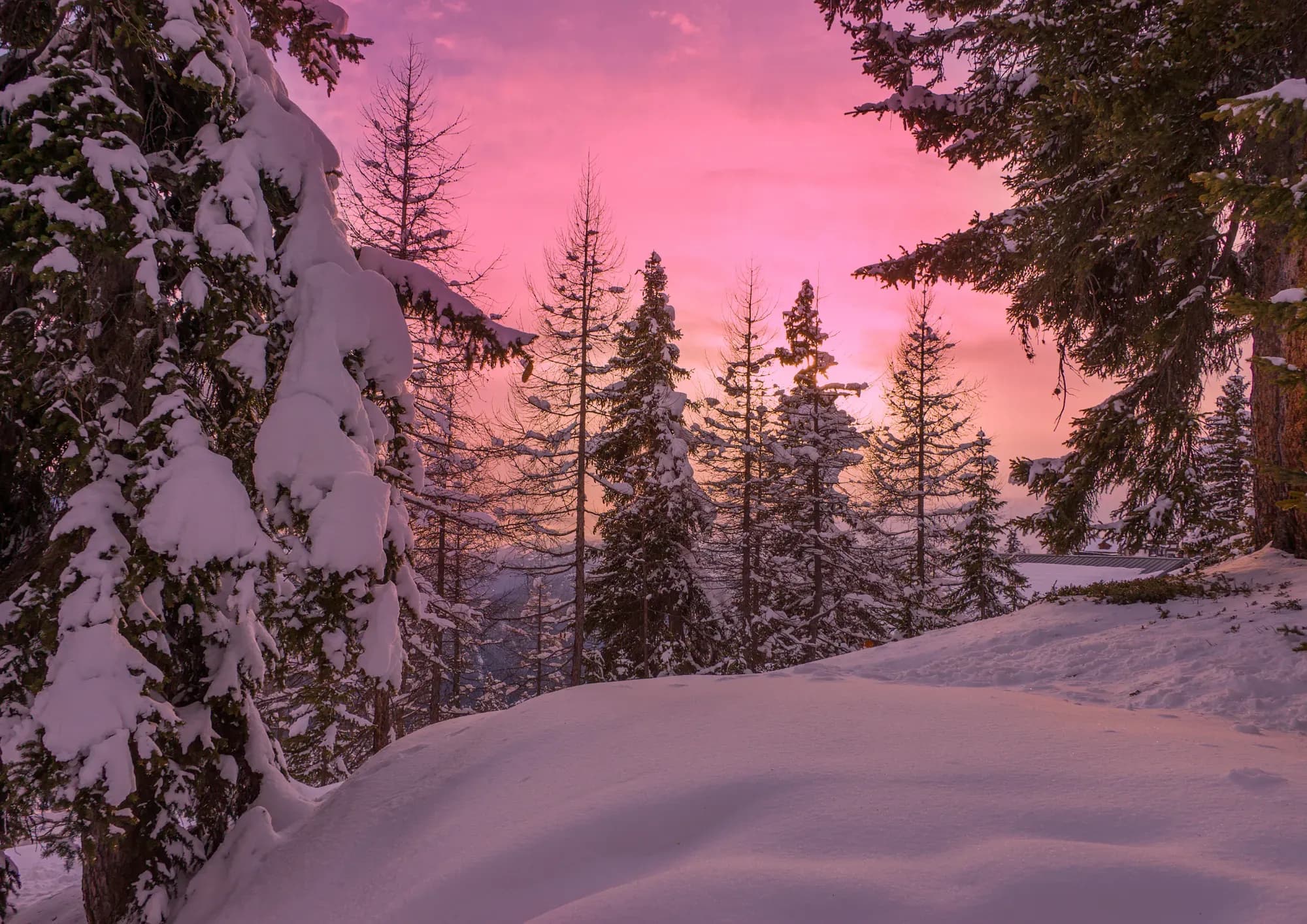 Winterzauber in Finnland