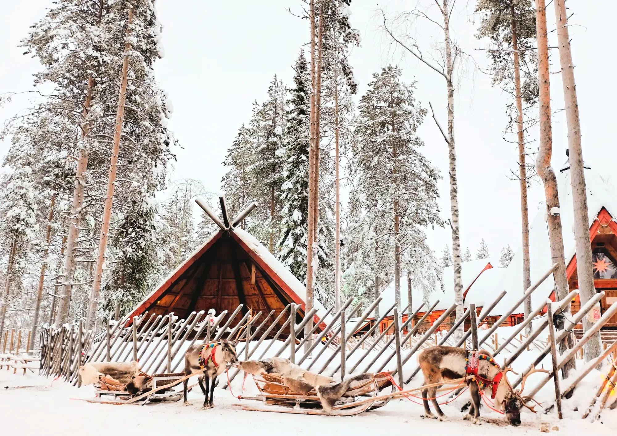 Winterferien in Lappland