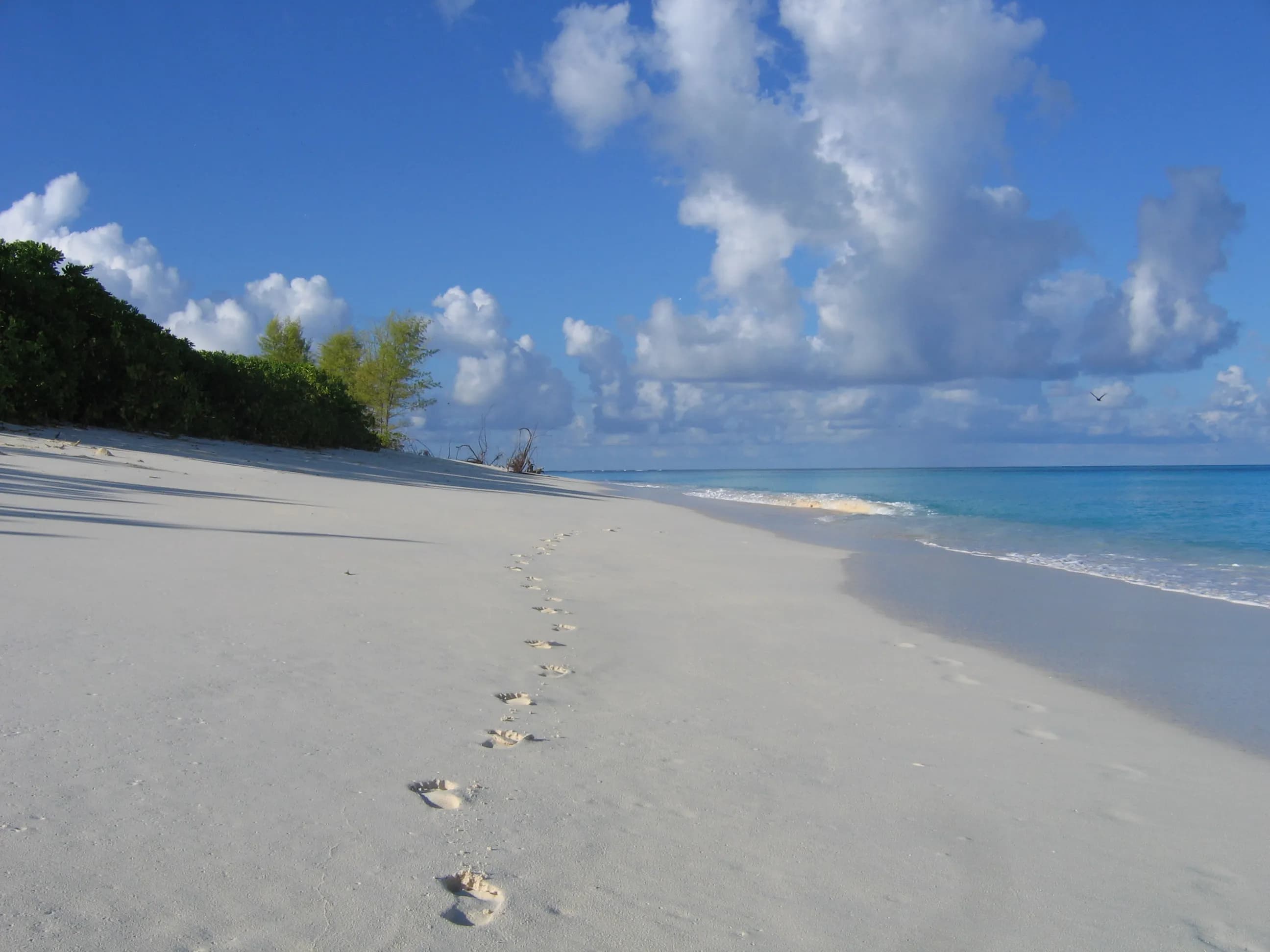 BIRD ISLAND LODGE - Bird Island 4
