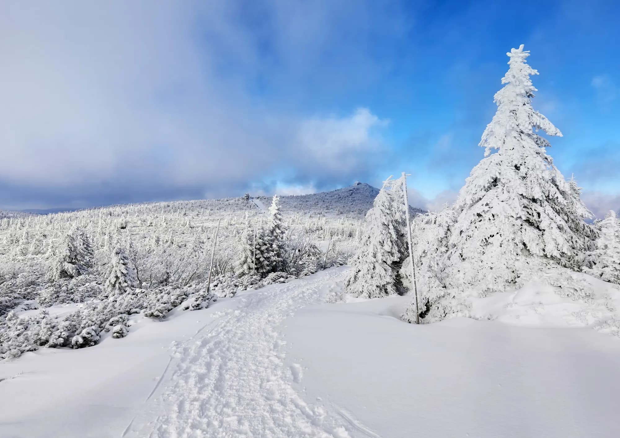 Silvester am Chiemsee-Winterwandern auf den Spuren des Märchenkönigs 4