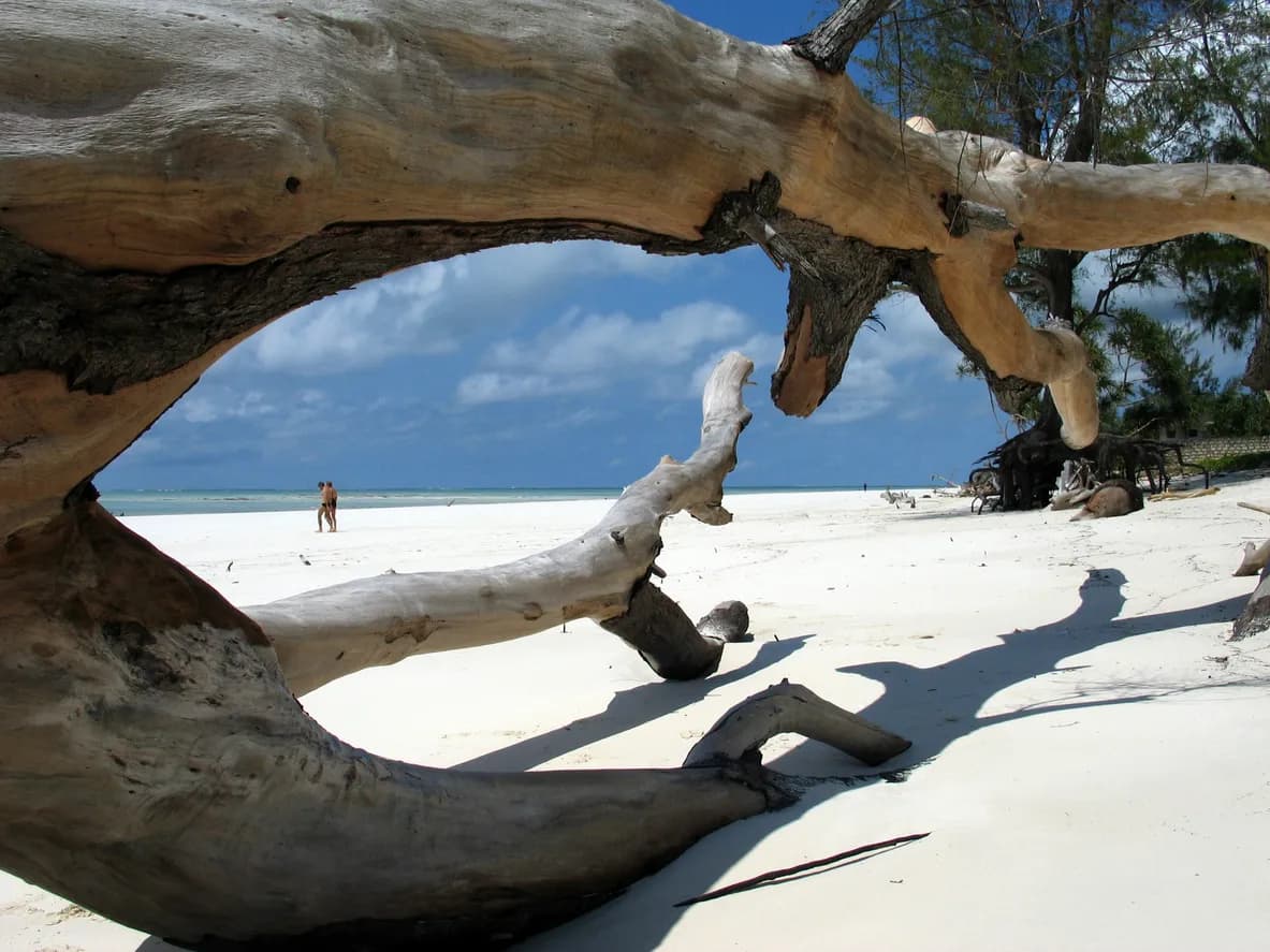 Faszinierende Masai Mara erleben und Erholung am Diani Beach 4