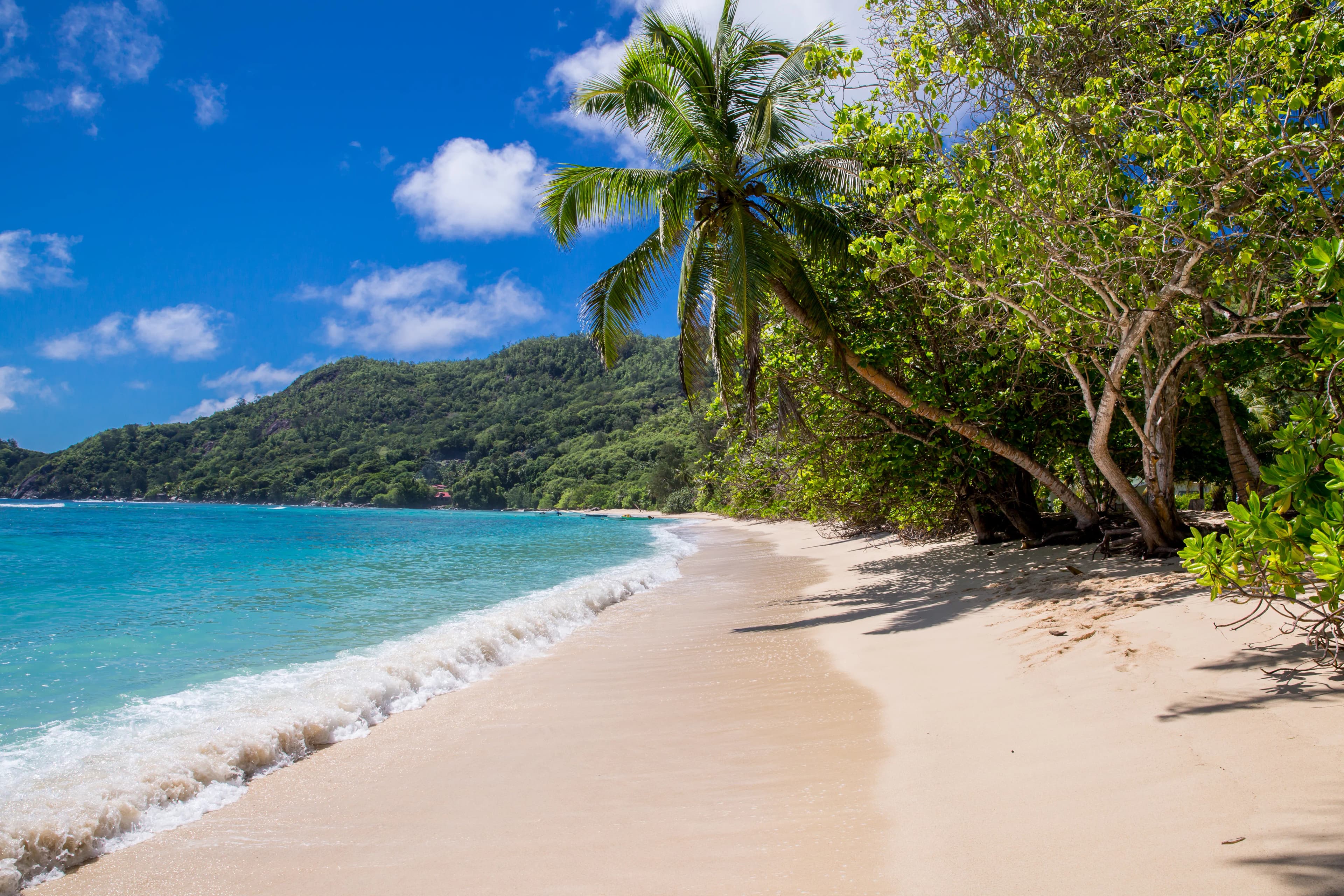 CHALETS ANSE FORBANS 2