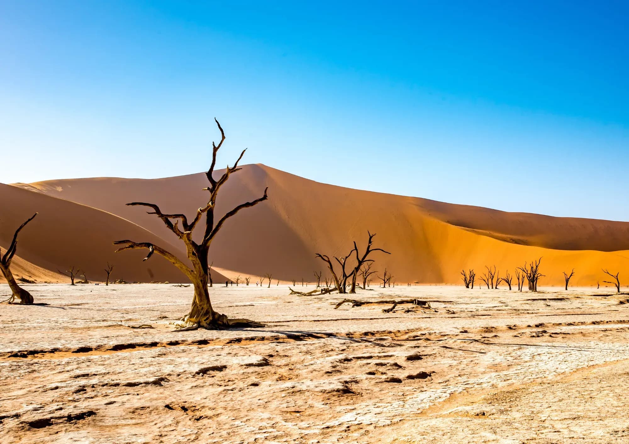 Traumreise Namibia