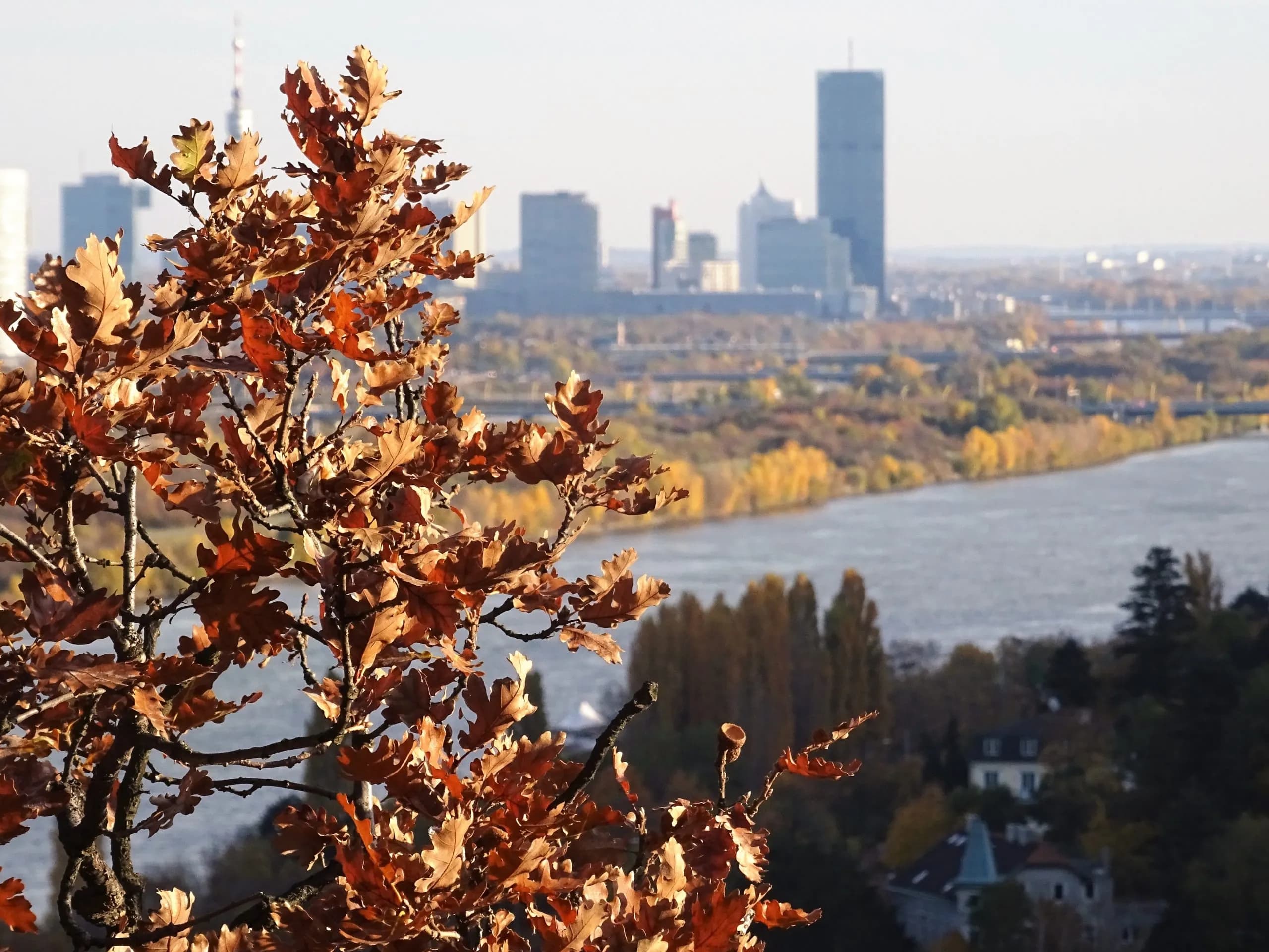 Bratislava - Schnupperreise 5