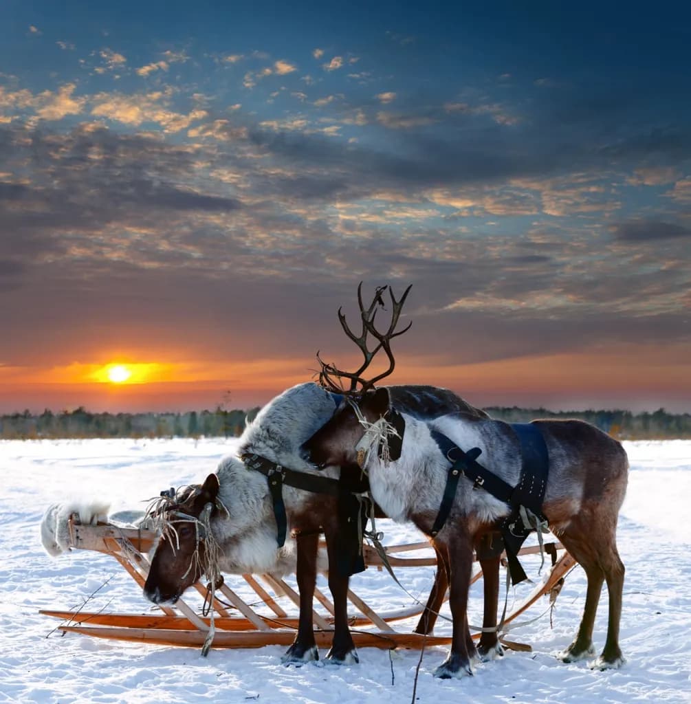 Wintertraum in Finnisch-Lappland 3