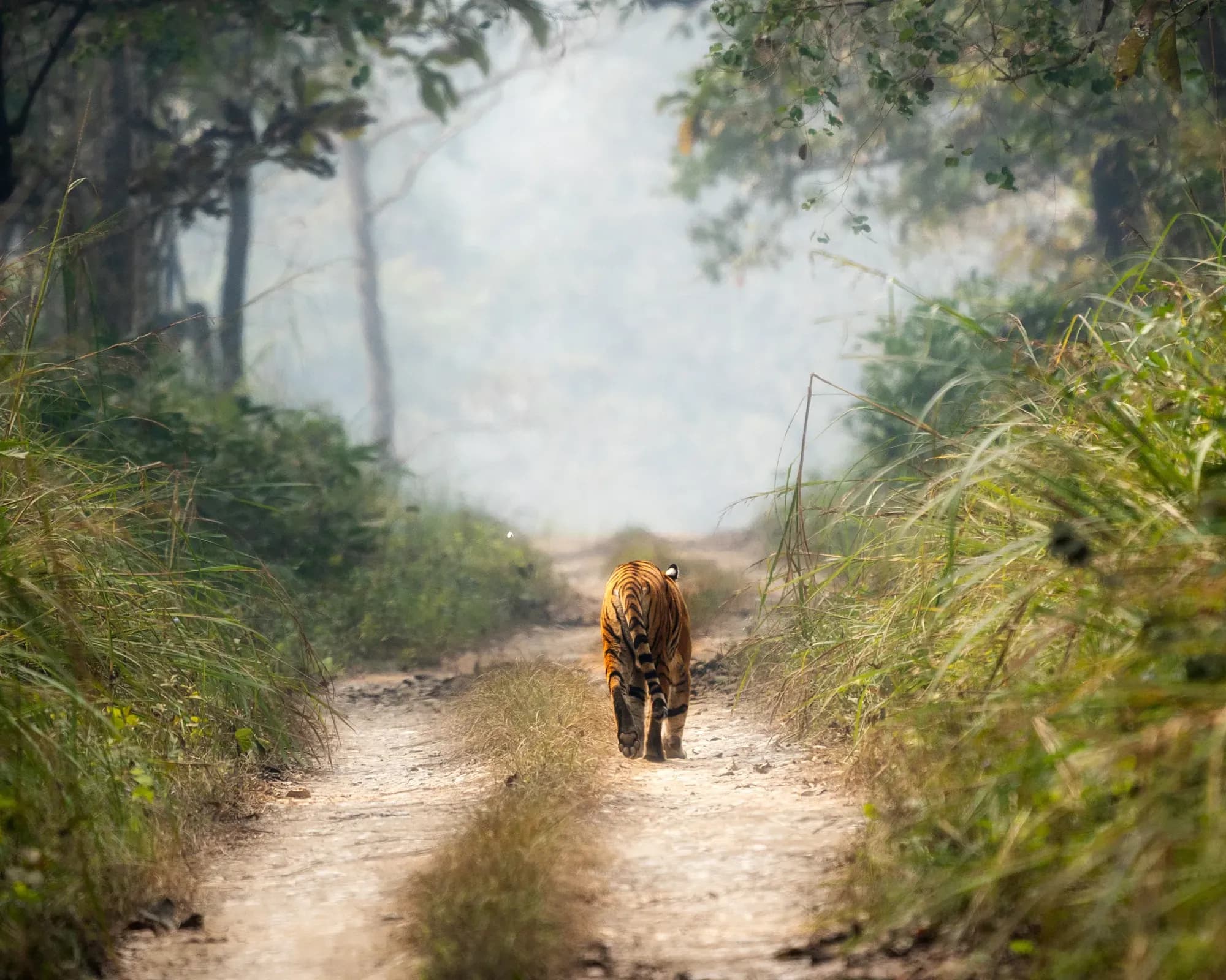 Nepal Rundreise