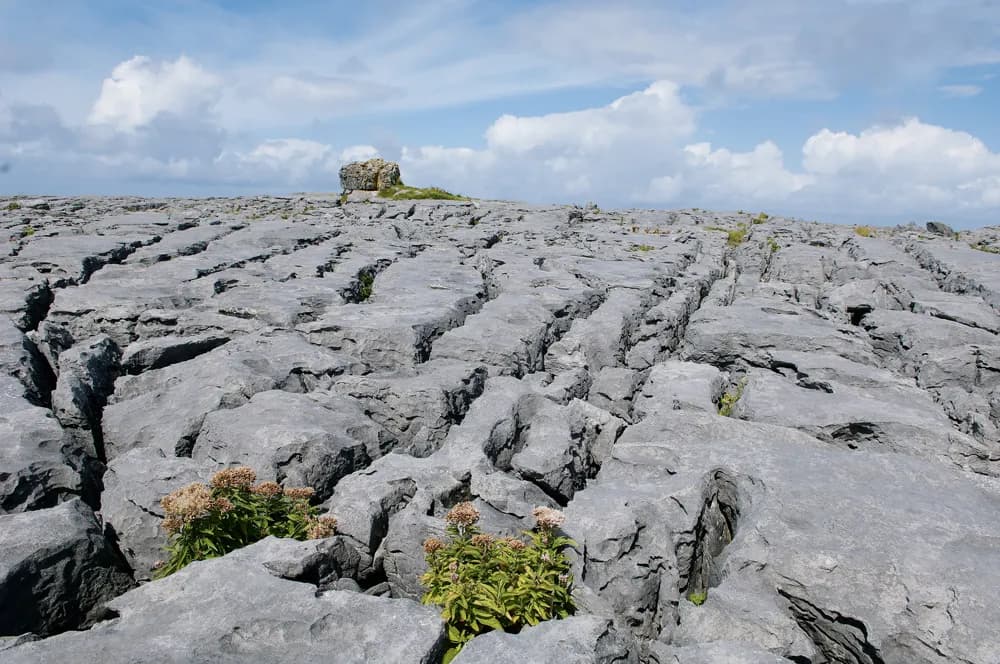 Wandern im Südwesten  und  Westen Irlands