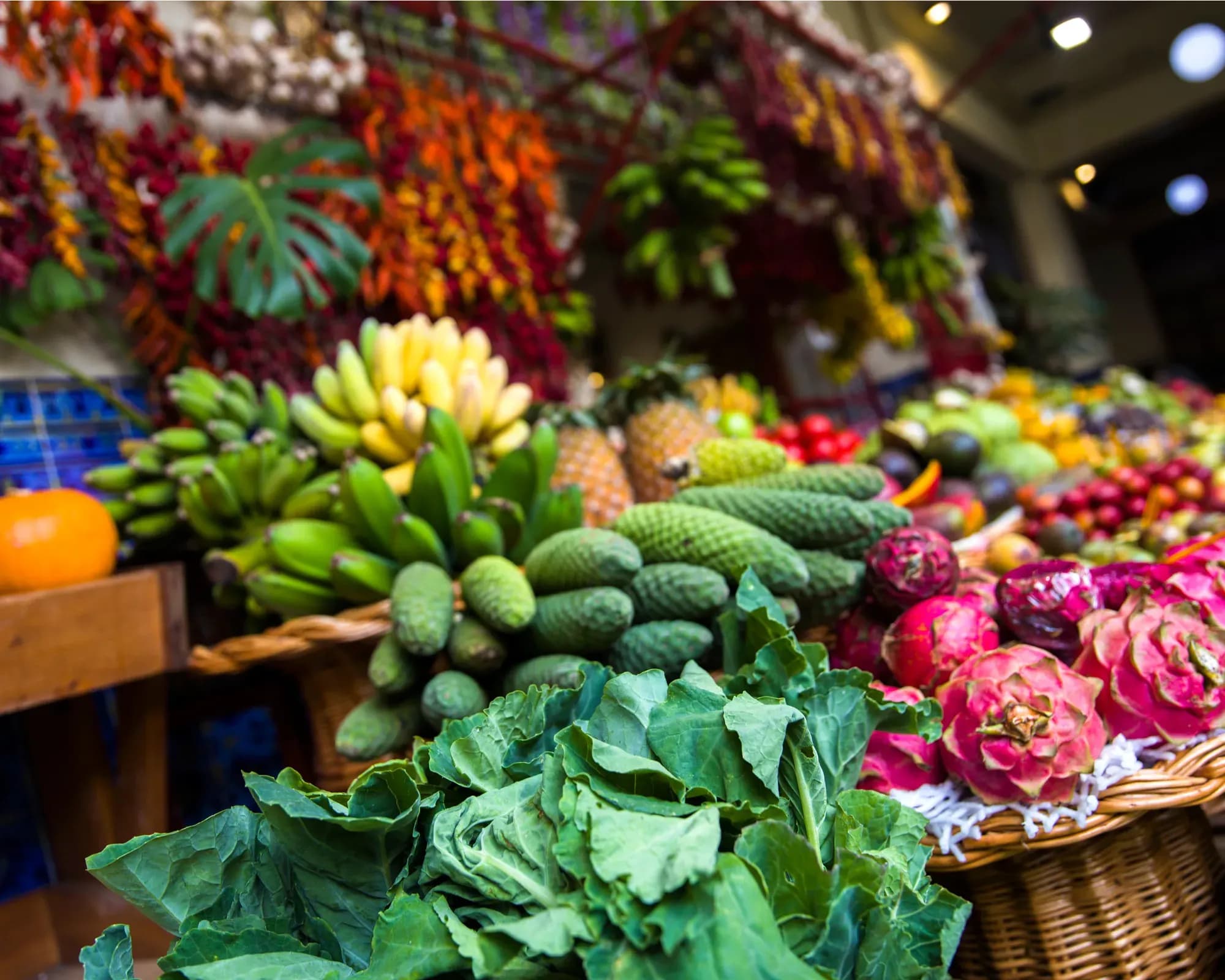 Natur-  und  Blumeninsel Madeira