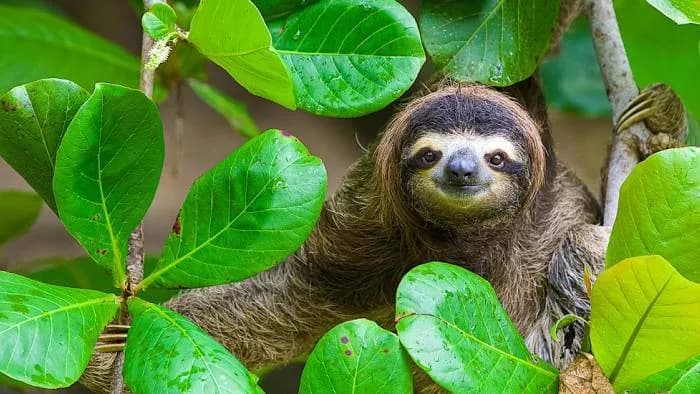 Costa Rica - Wie bei Adam und Eva 4