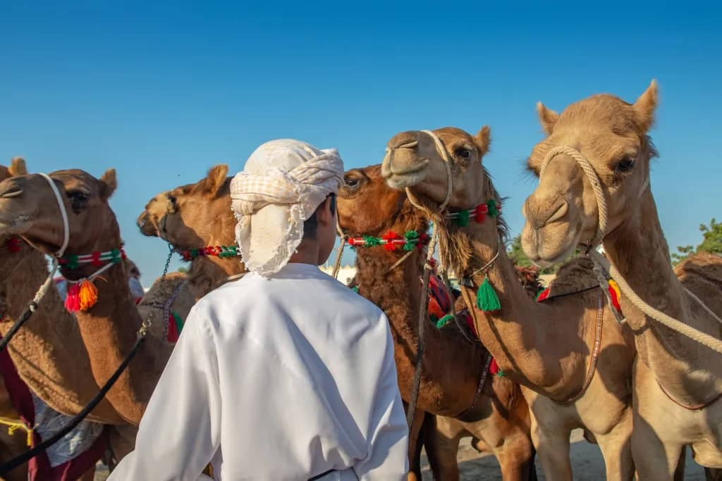 Rundreise Oman 3