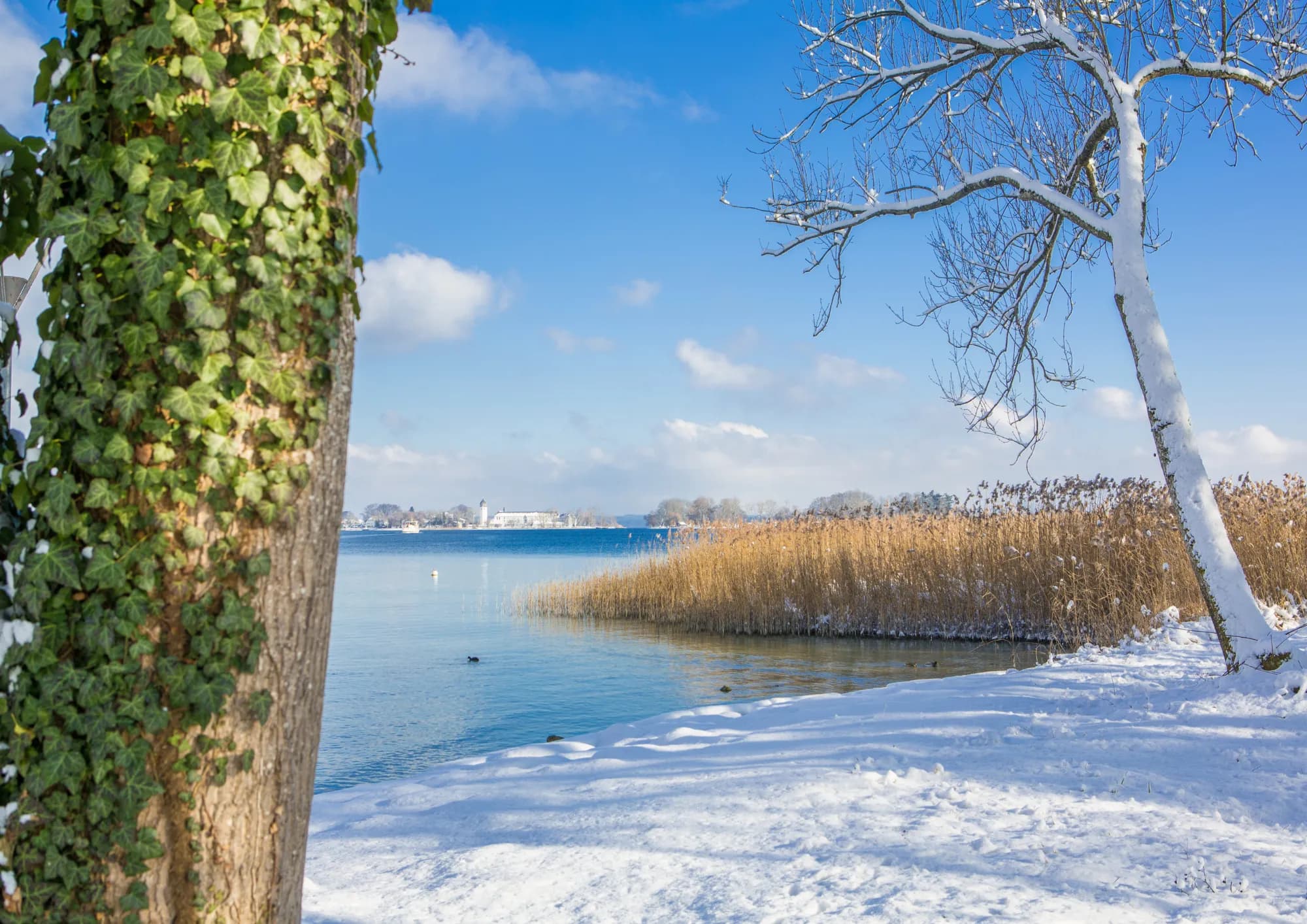 Silvester am Chiemsee-Winterwandern auf den Spuren des Märchenkönigs 3
