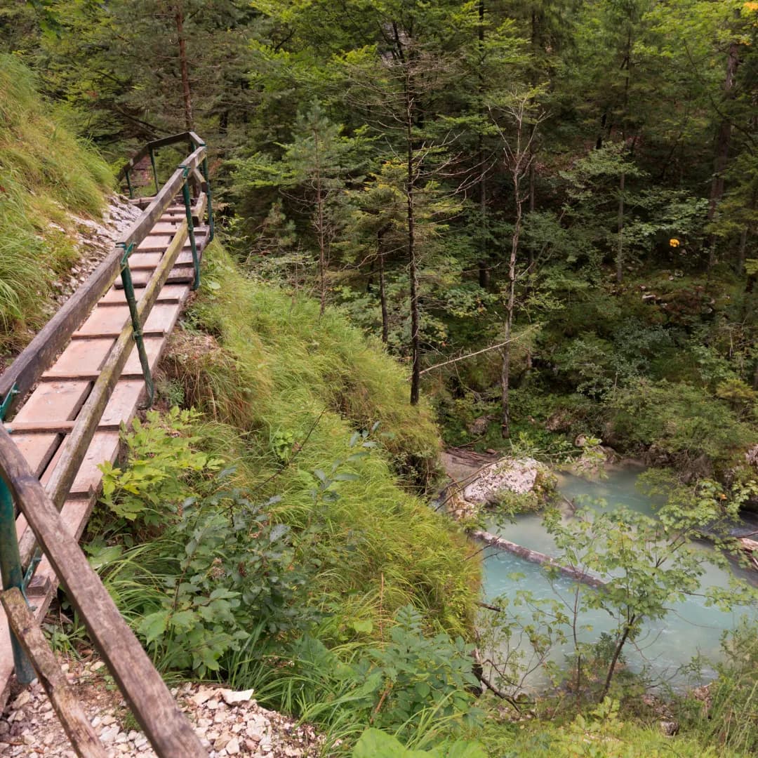 Kärntner Seen  und  Drau Radweg 5