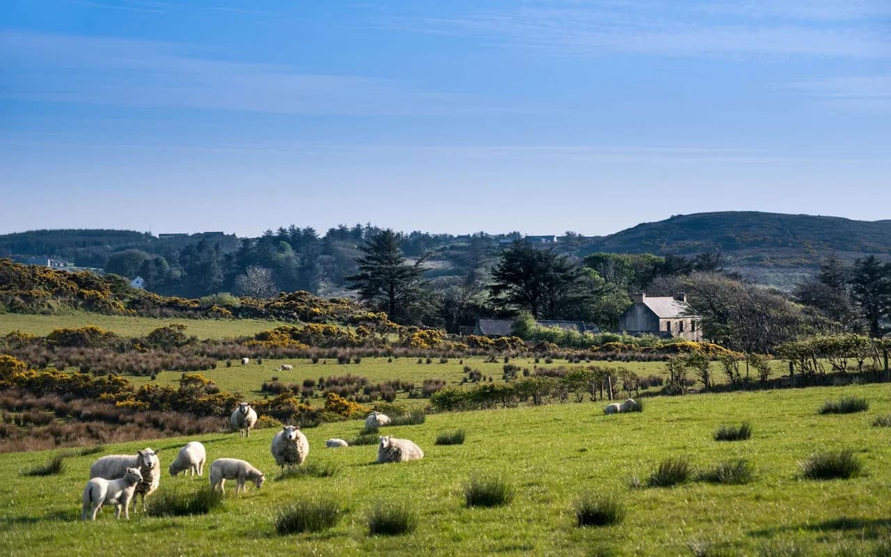 Irland per Zug entdecken!
