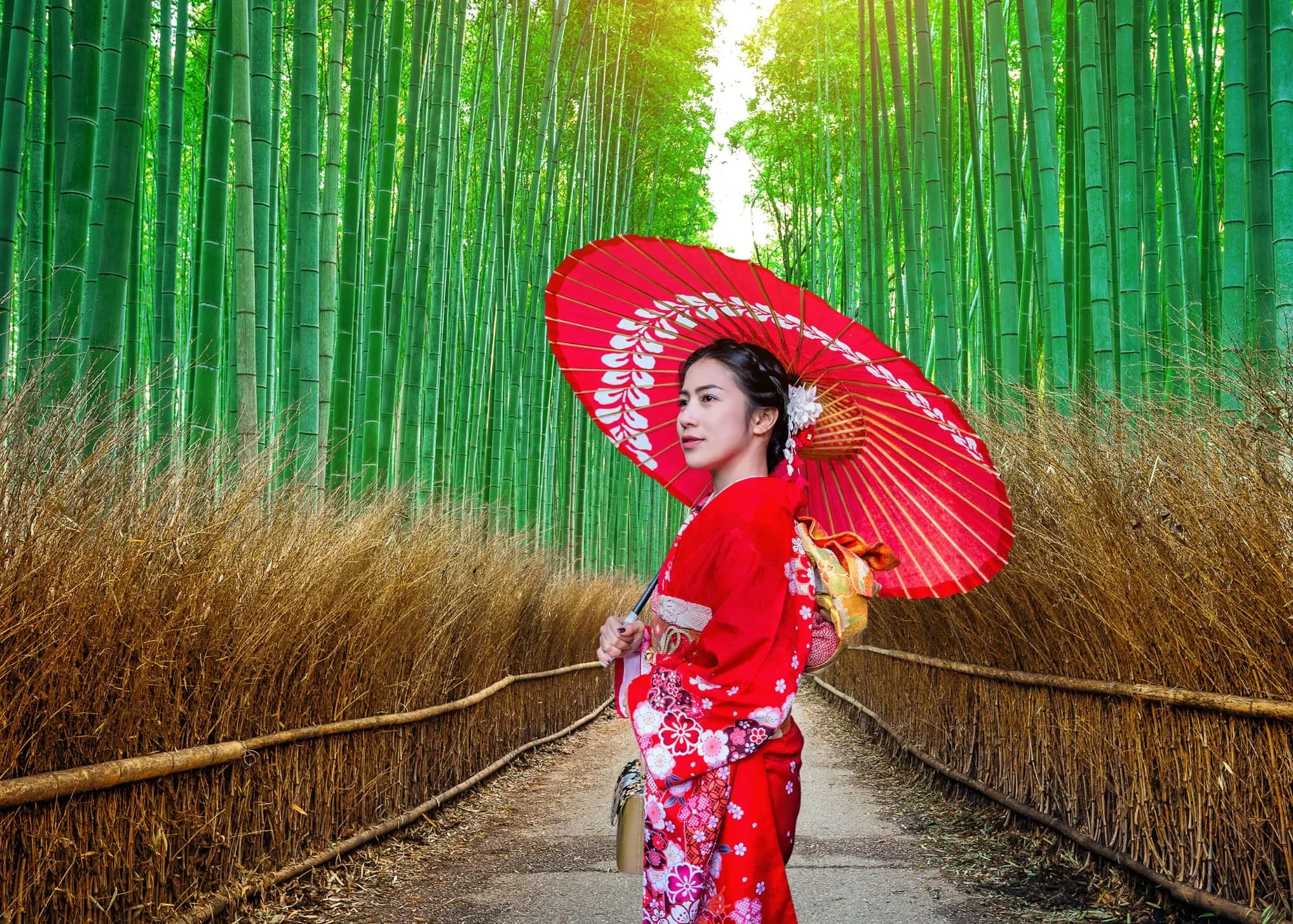 Japan im herbstlichen Farbenrausch