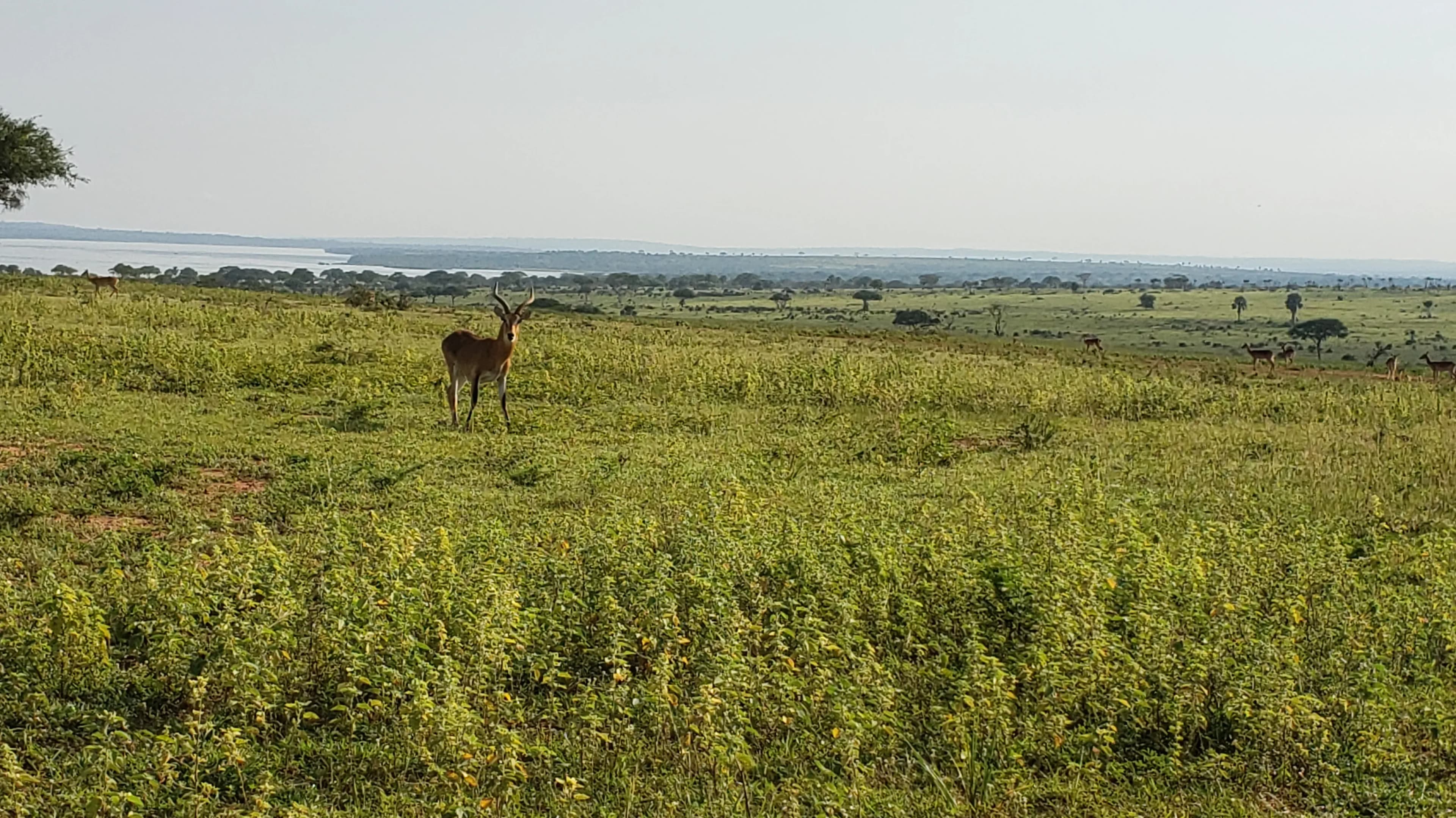 Rundreise Uganda 4