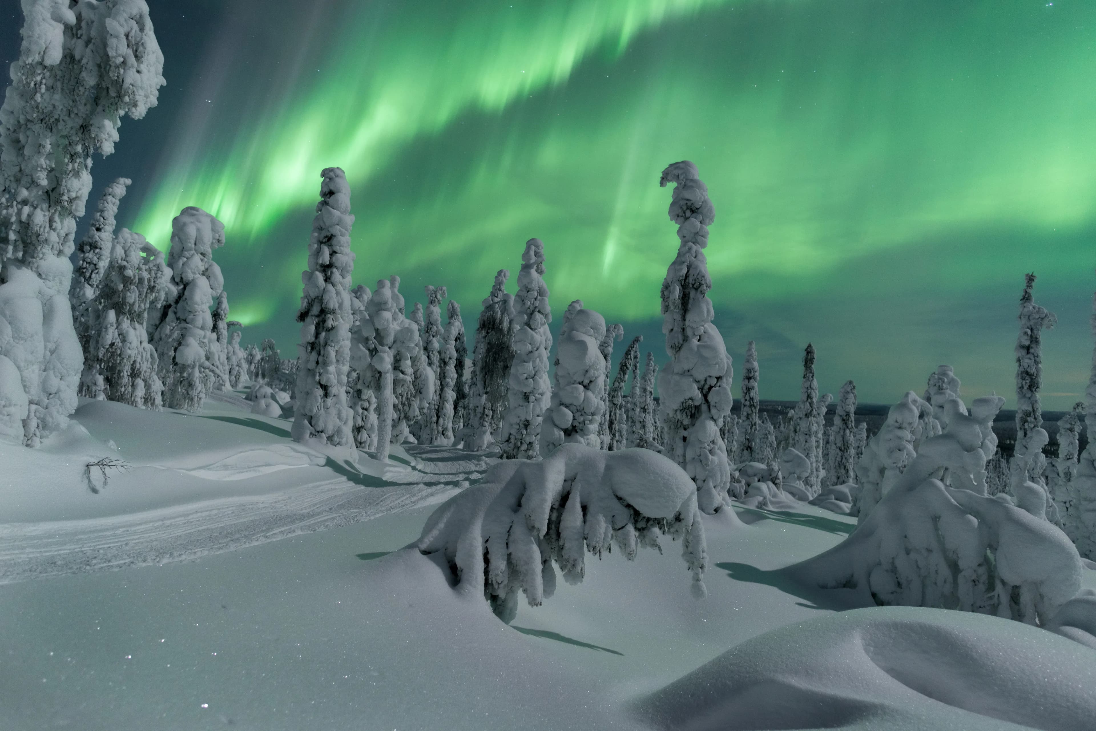 Lappland zum Verlieben 5
