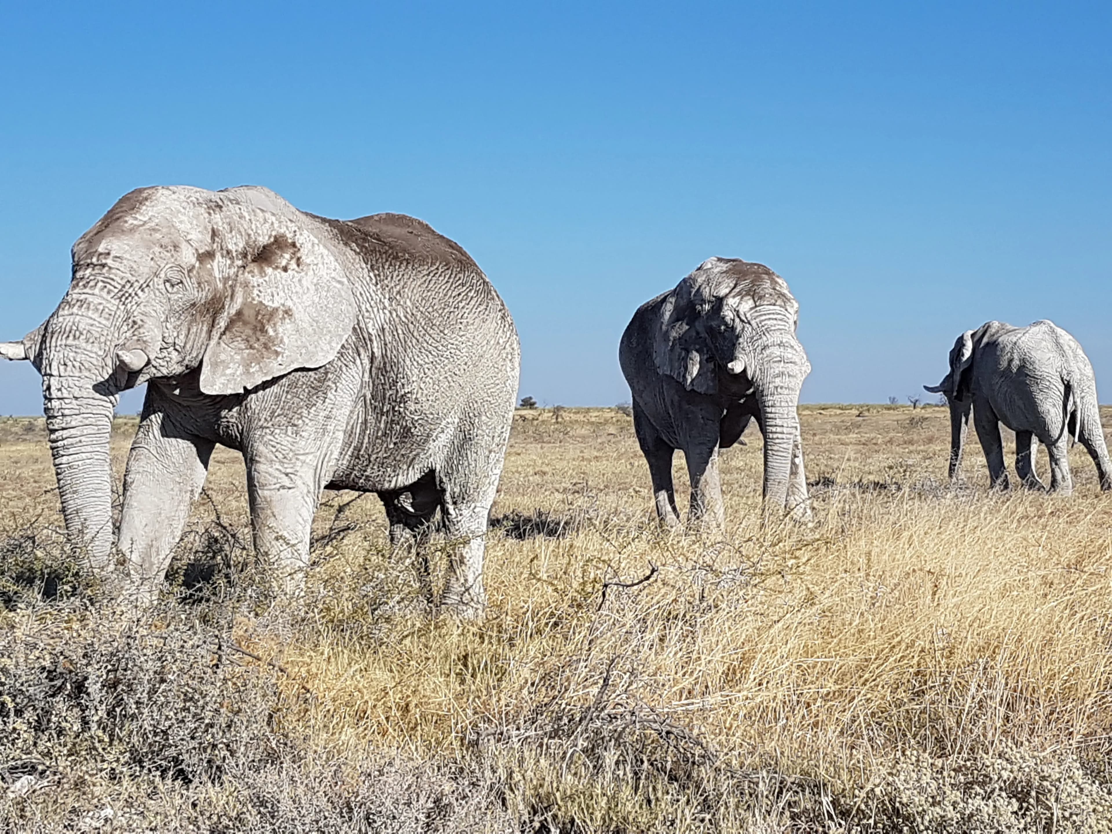 Rundreise Namibia 3