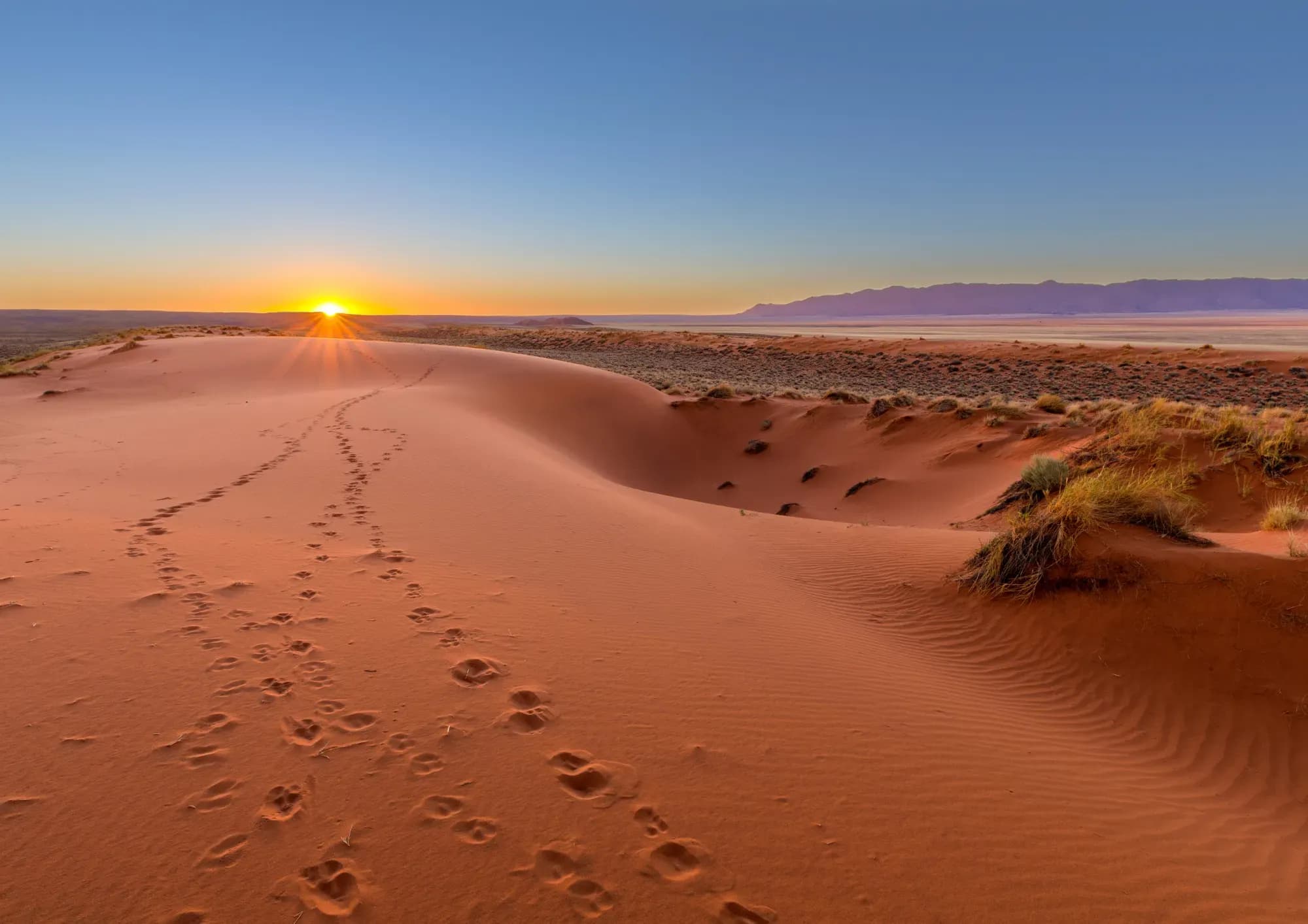 Traumreise Namibia 4