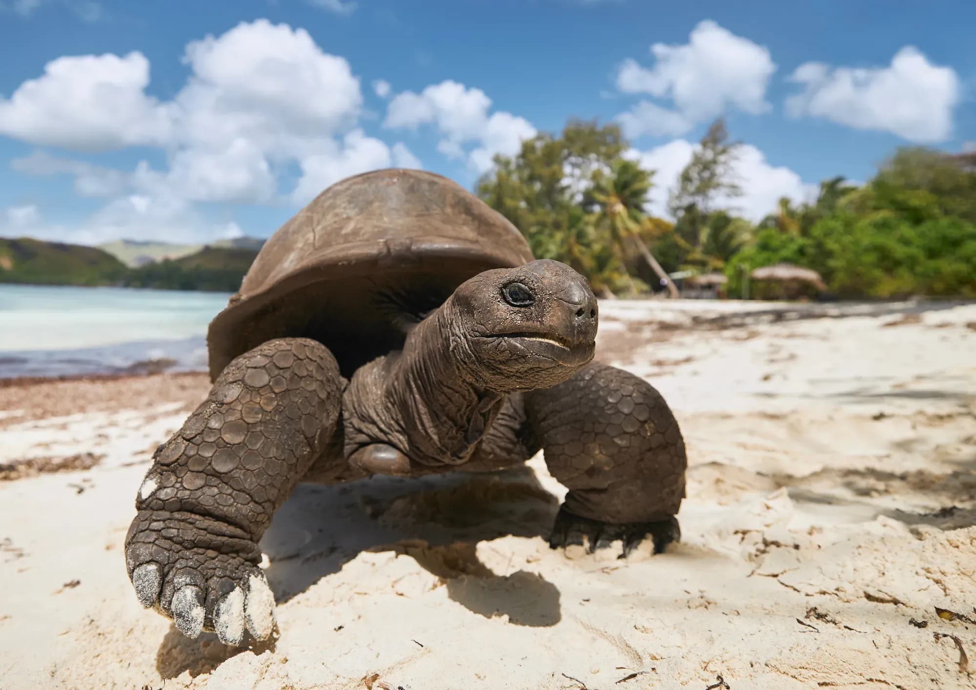 Seychellen-Erlebnisreise