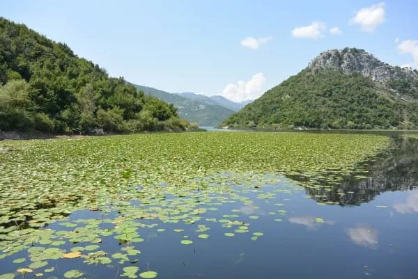 Montenegro - Die Perle der Adriaküste 2