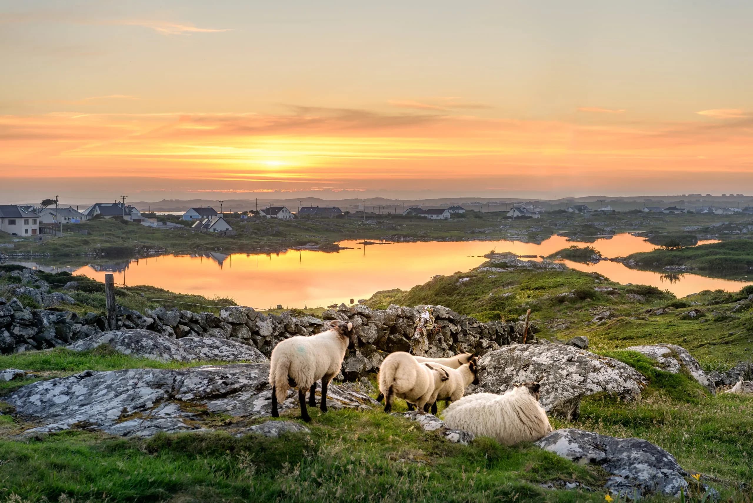 Rundreise Irland 4