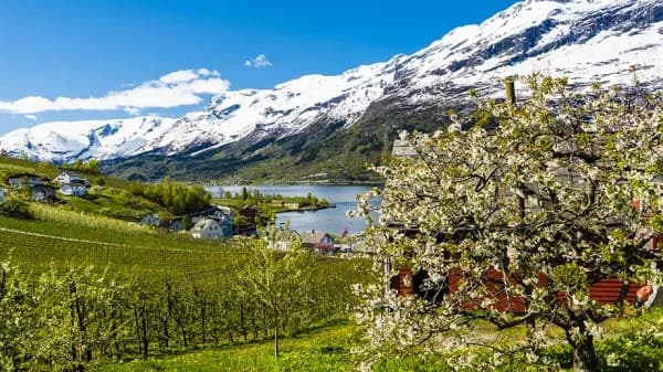 Spektakuläres Fjordnorwegen 5