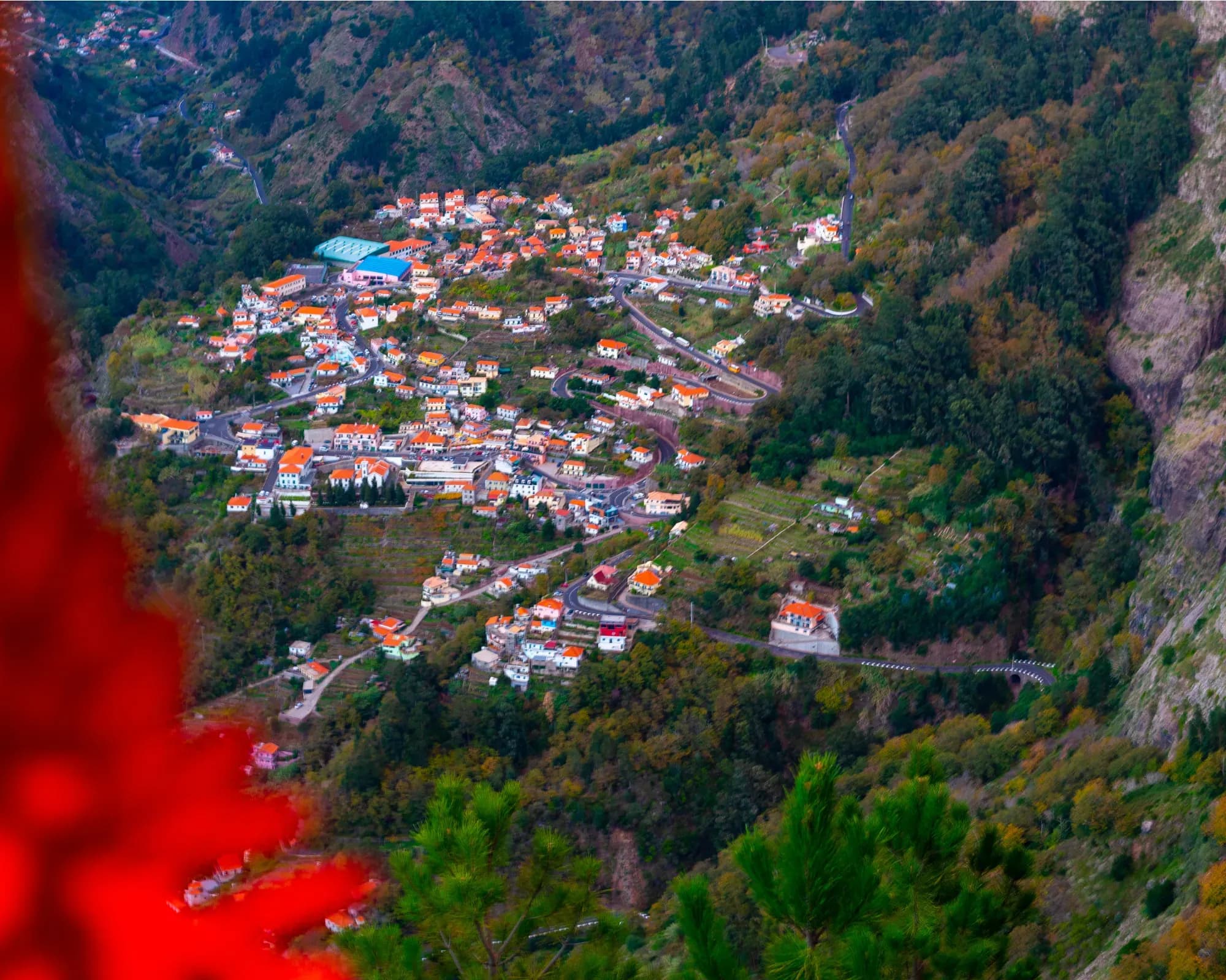 Natur-  und  Blumeninsel Madeira