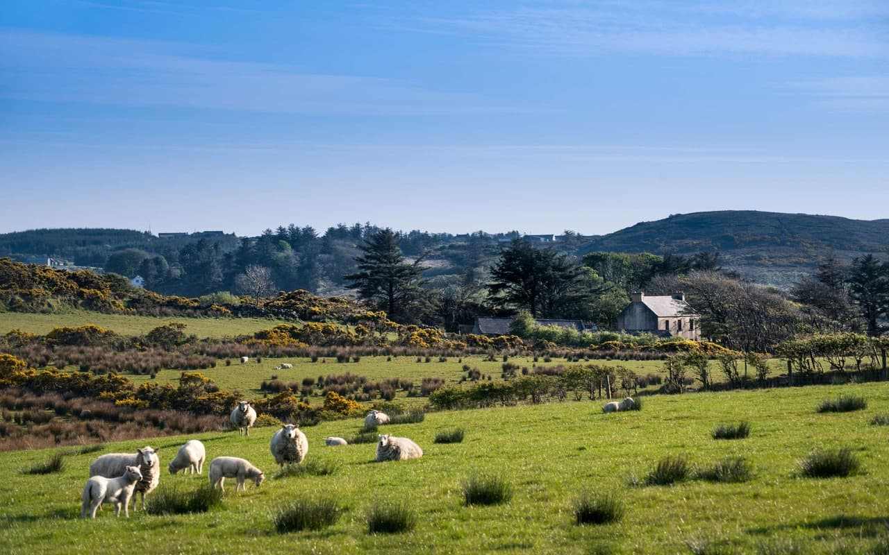 Irland per Zug entdecken!