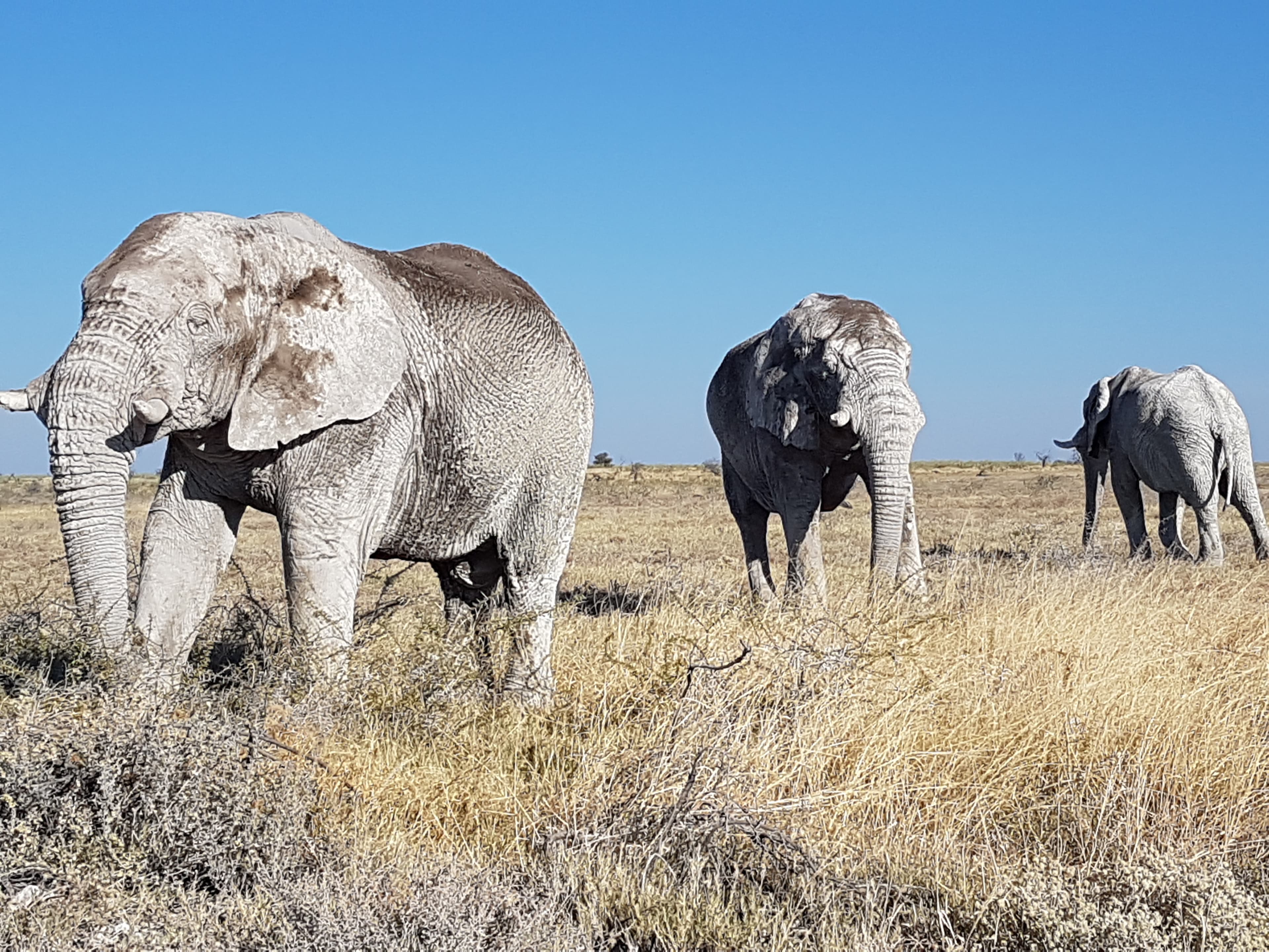 Rundreise Namibia