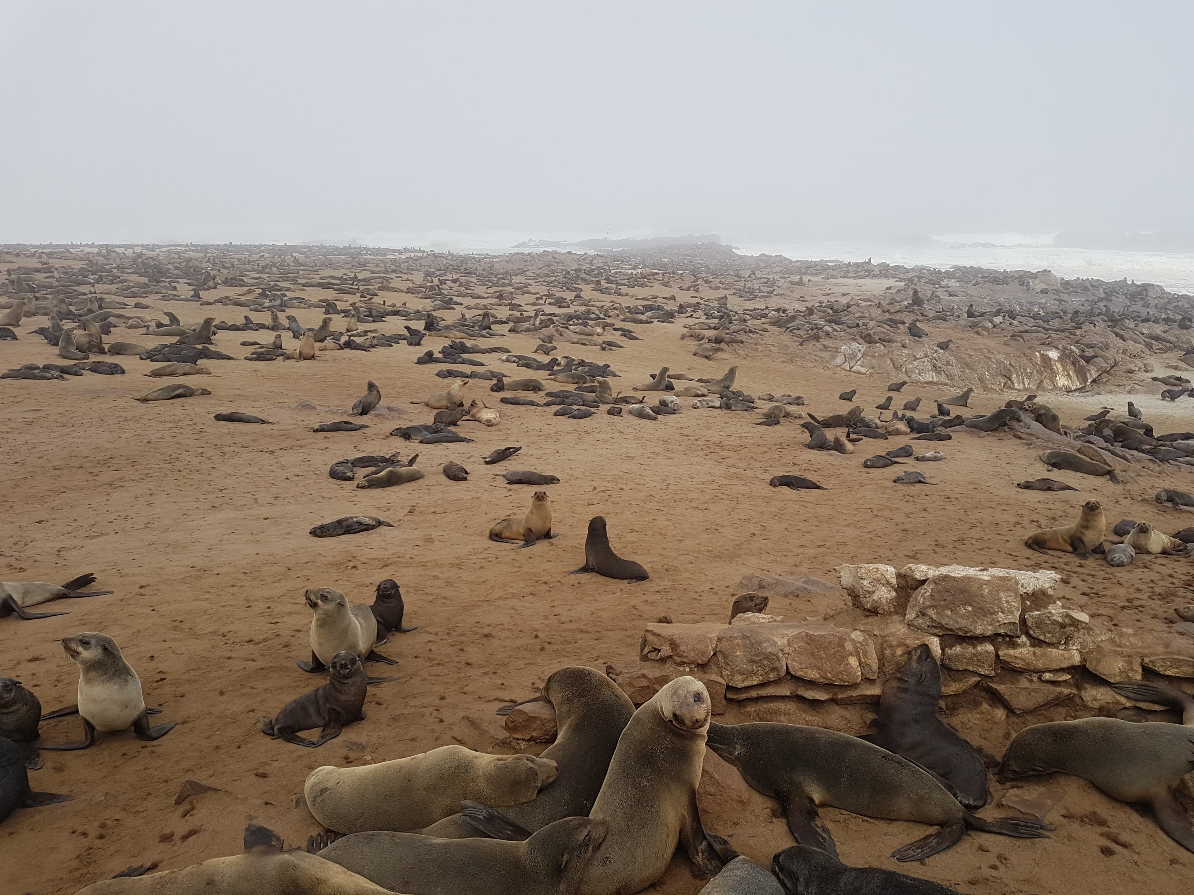 Rundreise Namibia