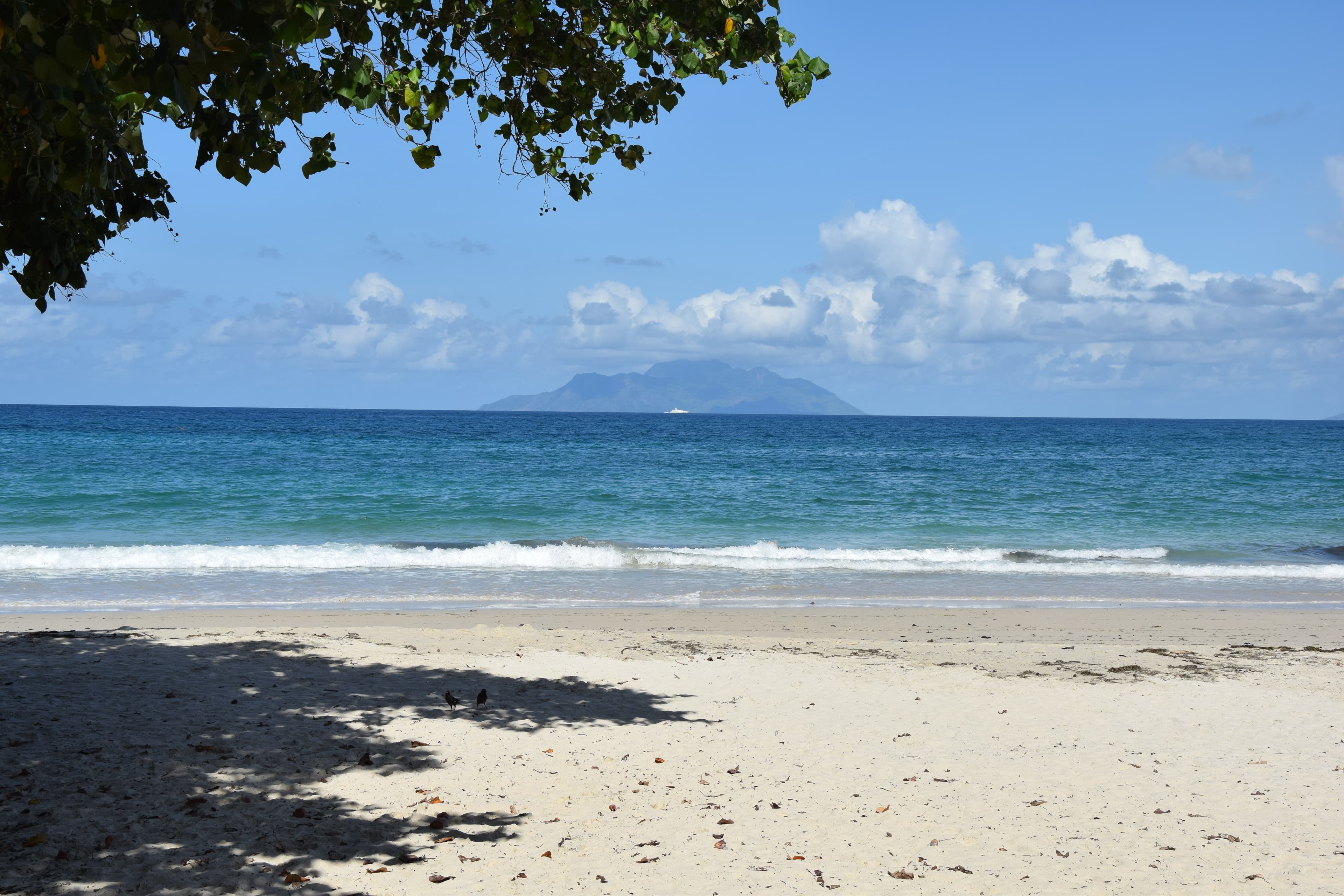 BEACH HOUSE