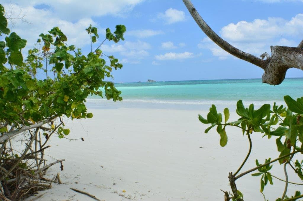 HELICONIA GROVE VILLAS