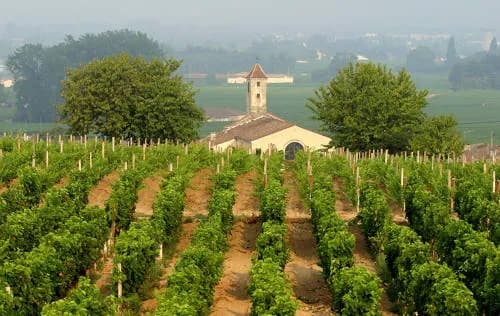 Weinreise Bordeaux